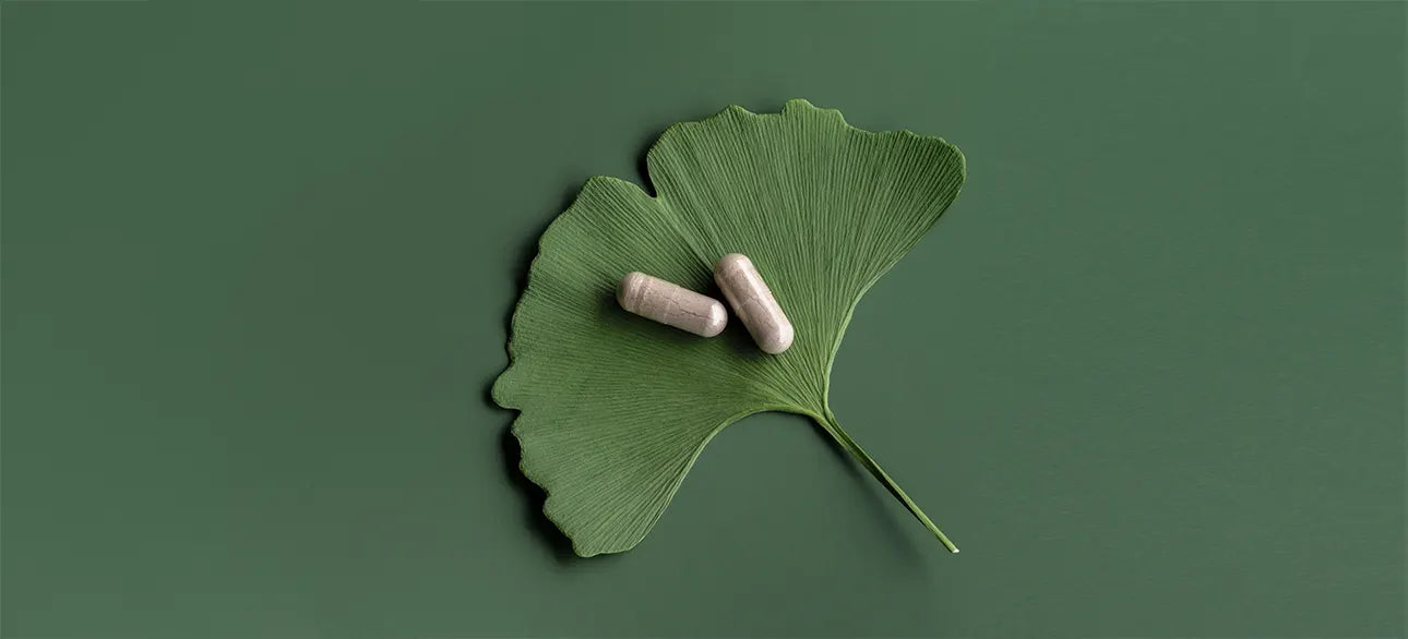 Possible Benefits & Side Effects of Ginkgo Biloba