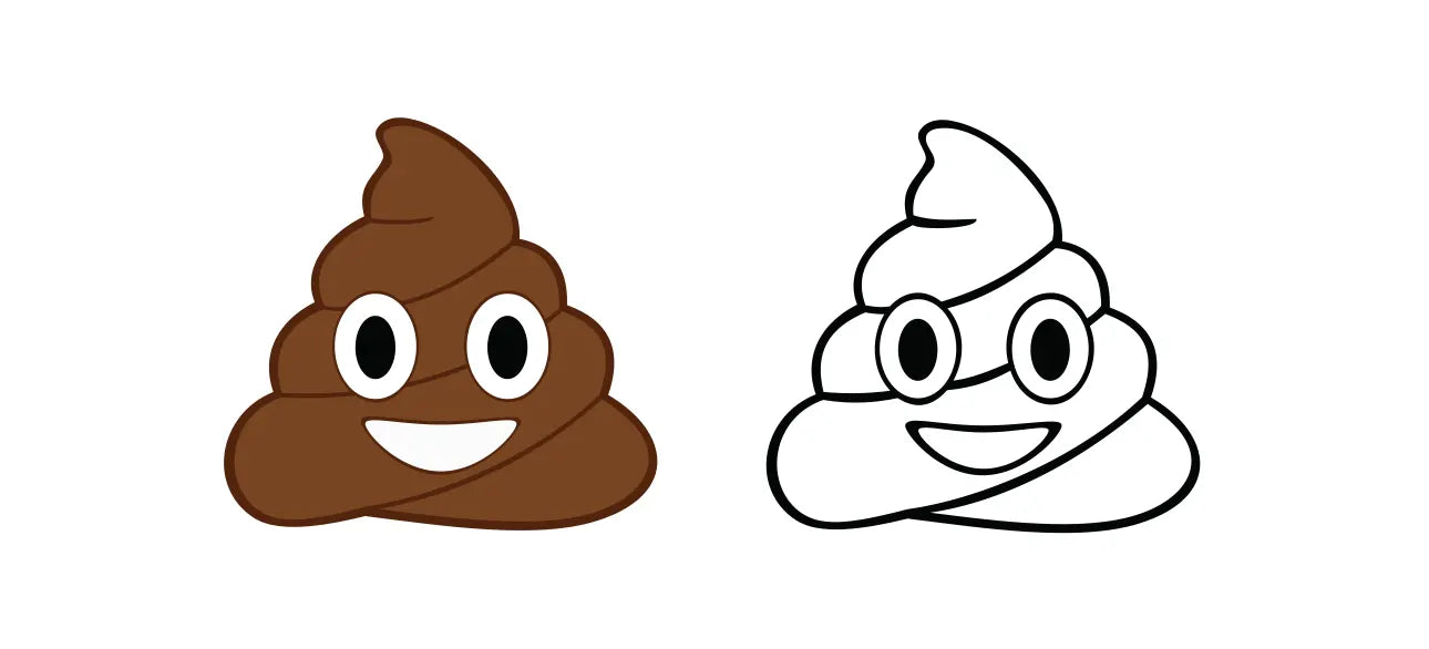 How Many Times a Day Should You Poop?