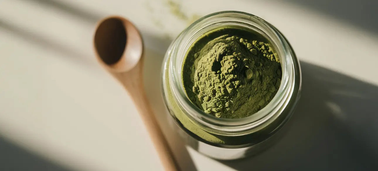 Sakara Protein + Greens Super Powder