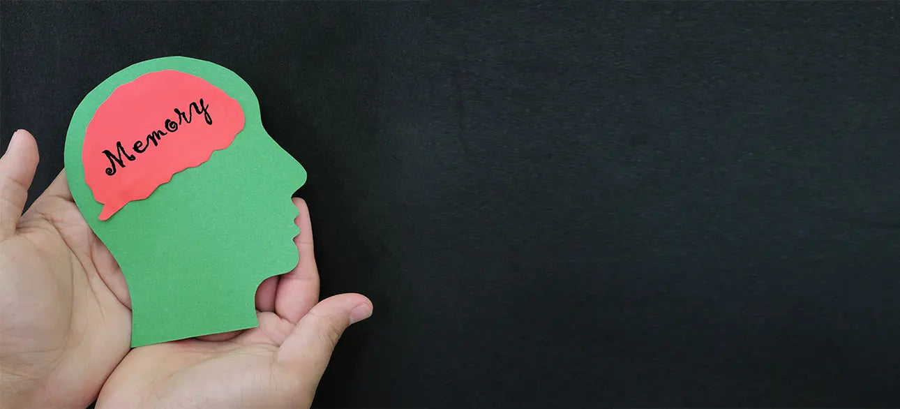 Ways to Improve Memory