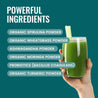Superfood Greens Fusion - Probiotics + Enzymes Supplement