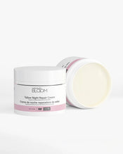 Tallow Night Repair Cream