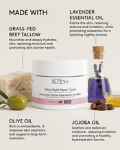 Tallow Night Repair Cream