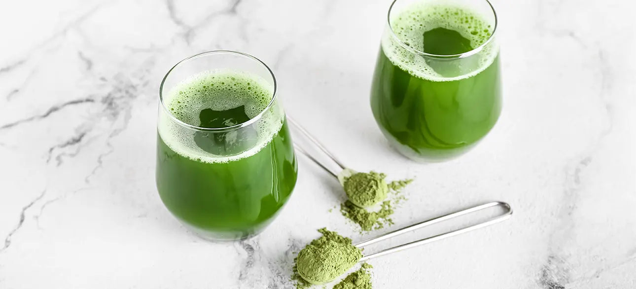 BrickHouse Nutrition Field of Greens