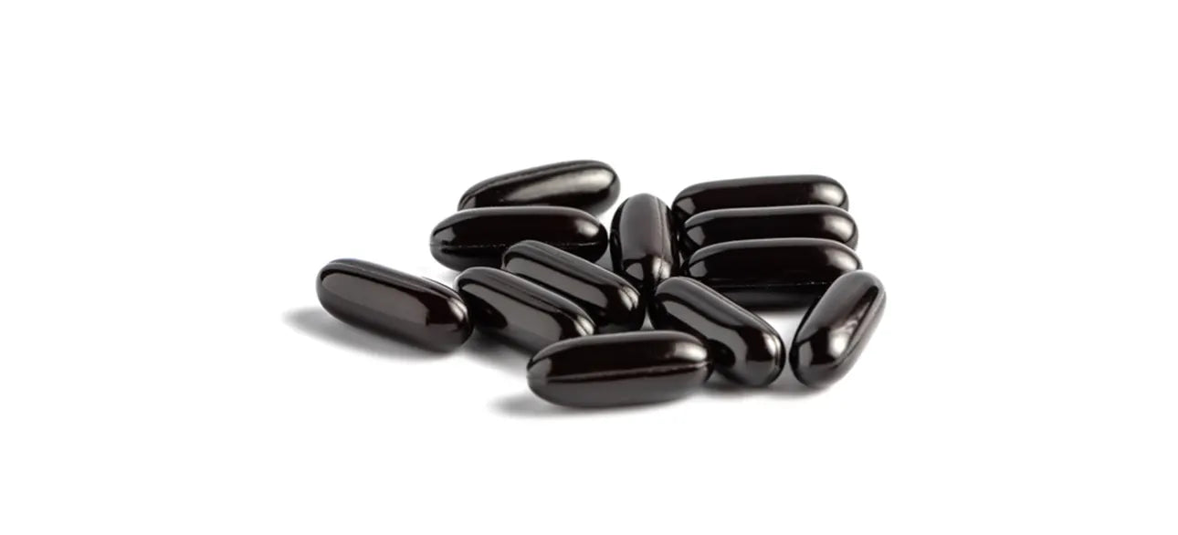 Nootrogen Review: Does It Really Improve Focus and Memory?